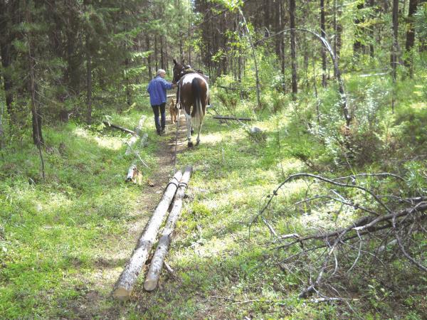 Trapping Creek Horse Trails