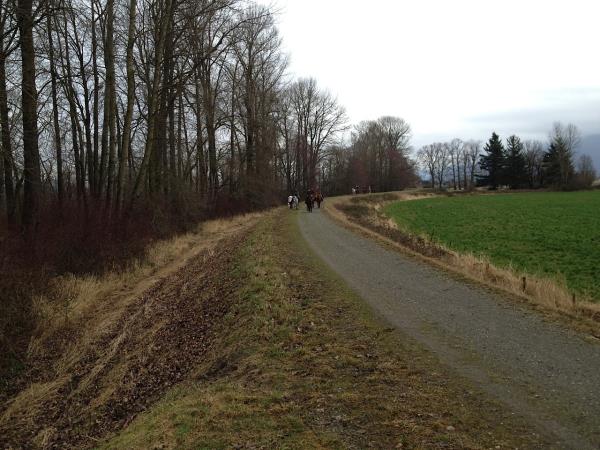 Sumas River Dyke Trail