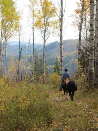 Seven Sisters Trail System