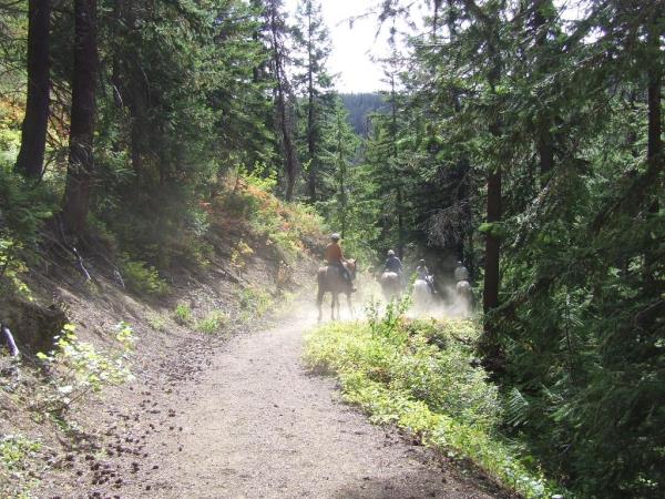 Windy Joe Trail - Manning Park