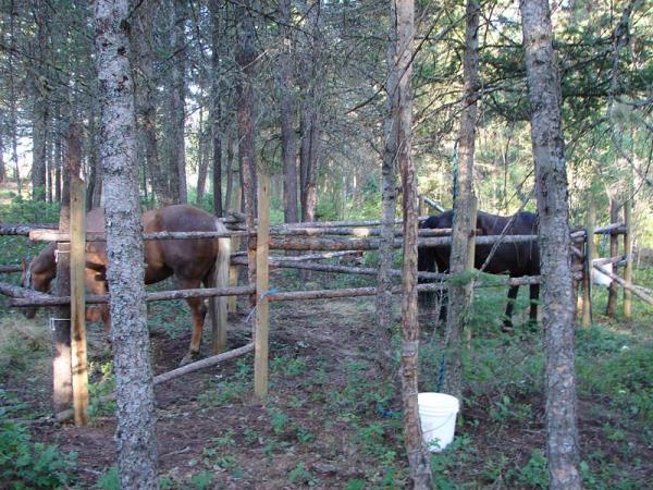 Spruce Hill Resort (prev. Hills Guest Ranch)