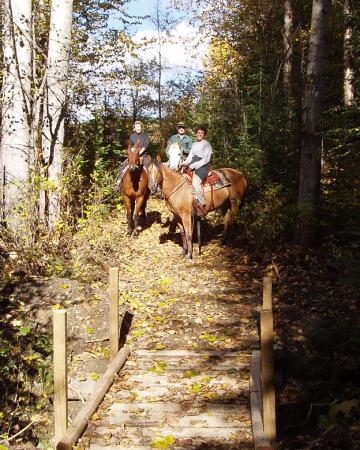 Tabor Mountain Trails