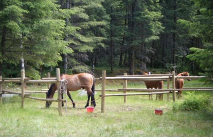 Brewster Horse Camp