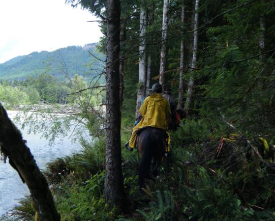 Salmon Memekay Horse Camp & Trail Corridor