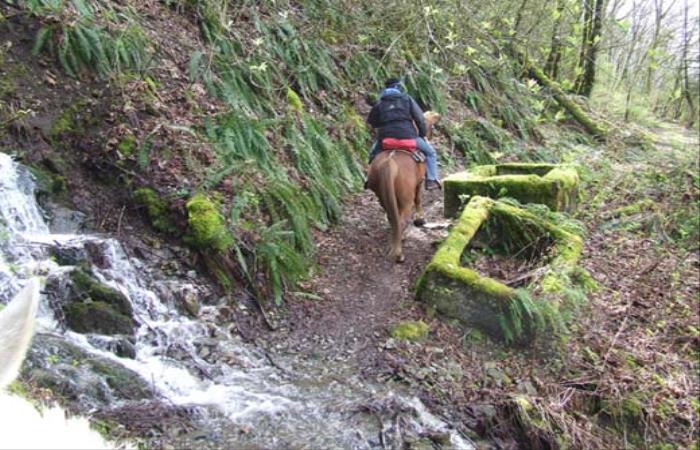 Vedder Mountain Trails