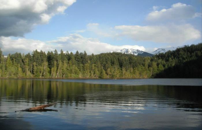 Mosquito Lake Recreational Site Access
