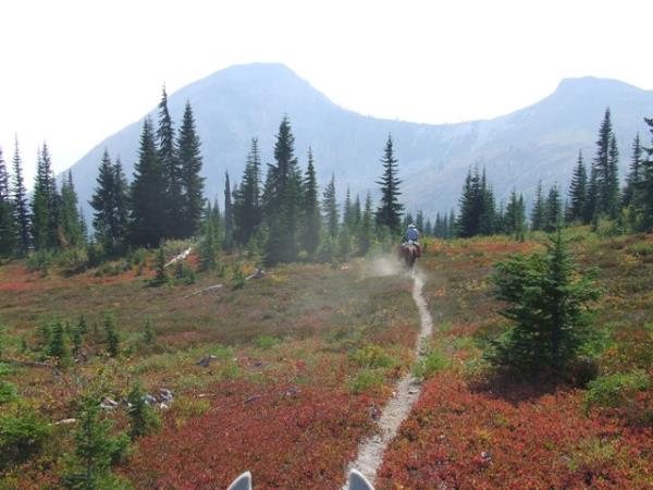Gardner Trail