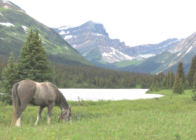 Kakwa Provincial Park & Protected Area