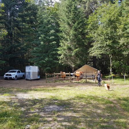 Spruston Road Rec Site and Trail System