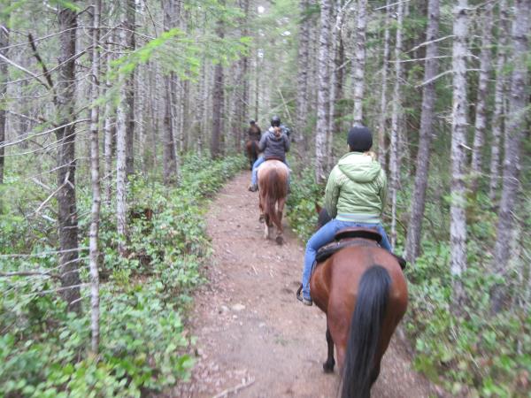 Williams Beach Trails