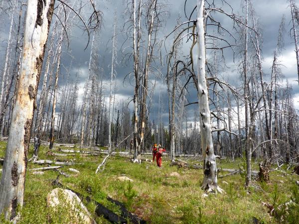 Trapper Lake Trail
