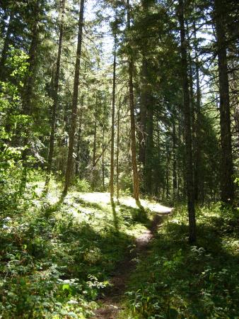 Skagit Valley Trails