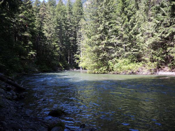 Skagit River Trail