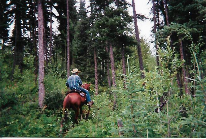 Coburn Trail
