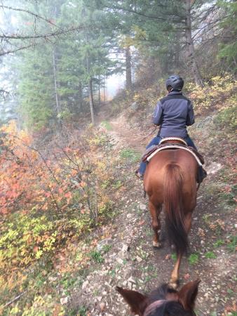 South Canoe Trails