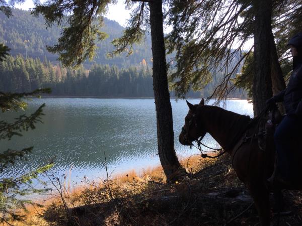 Skmana Lake Trails