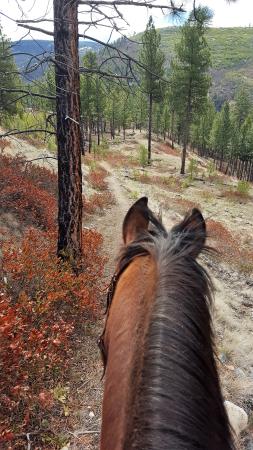Carmi X-Country Ski Trails