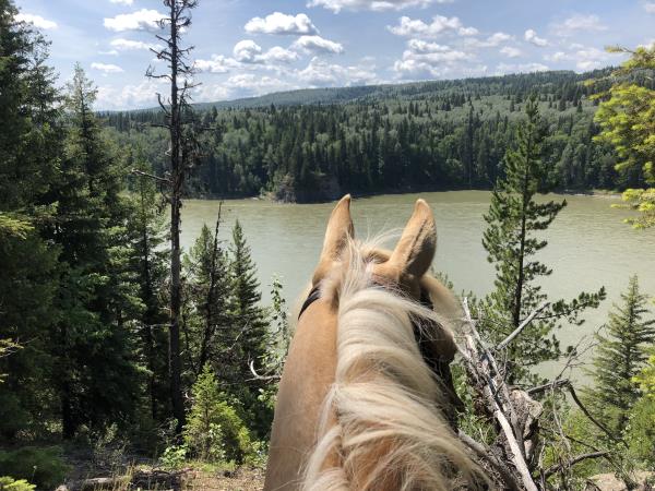 Coburn Trail
