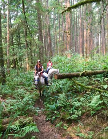 Golden Ears Provincial Park