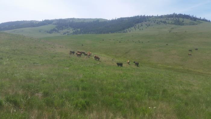 Lac du Bois Grasslands Trails