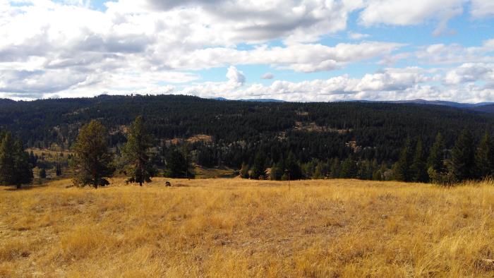 7 Half Diamond Ranch