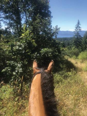 Horth Hill Trail