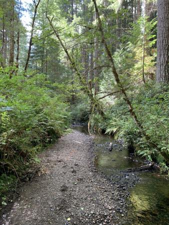 Lighthouse Country Trail
