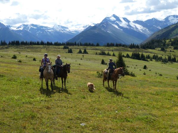 Belle Mountain Trails