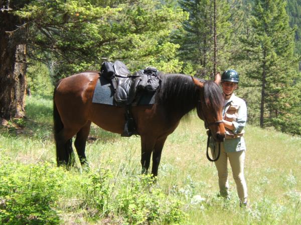 Timber Ridge Trails