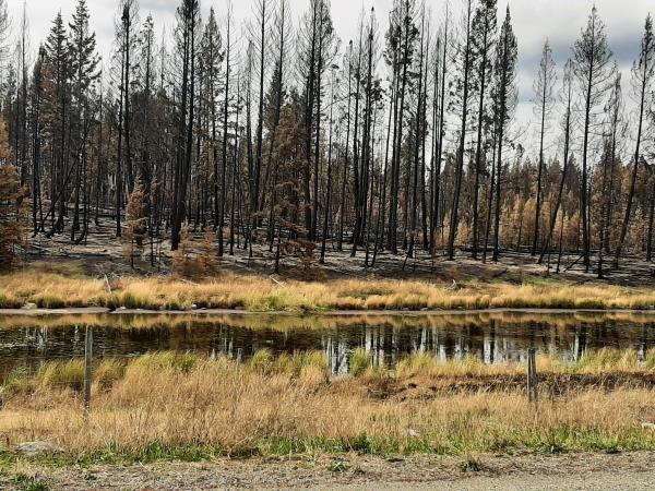 Tunkwa Lake Provincial Park/Leighton Lake (TRAILS CLOSED DUE TO FIRE DAMAGE)