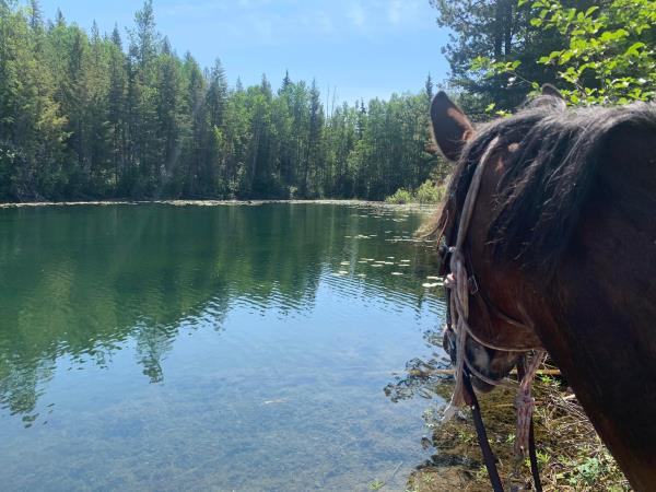 Telegraph Lake