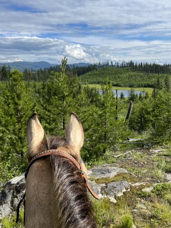 Fishtrap Horse Camp