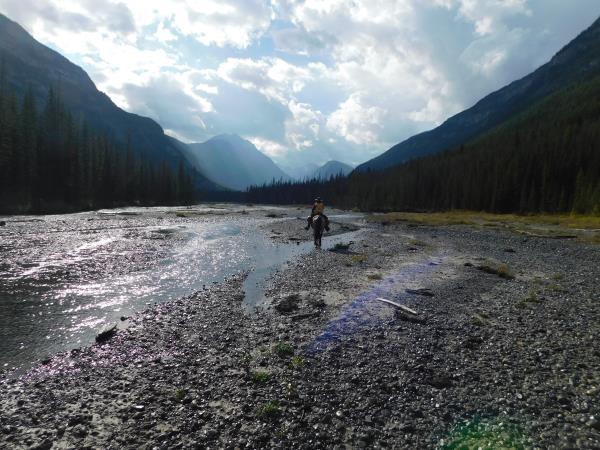 Height of the Rockies Provincial Park