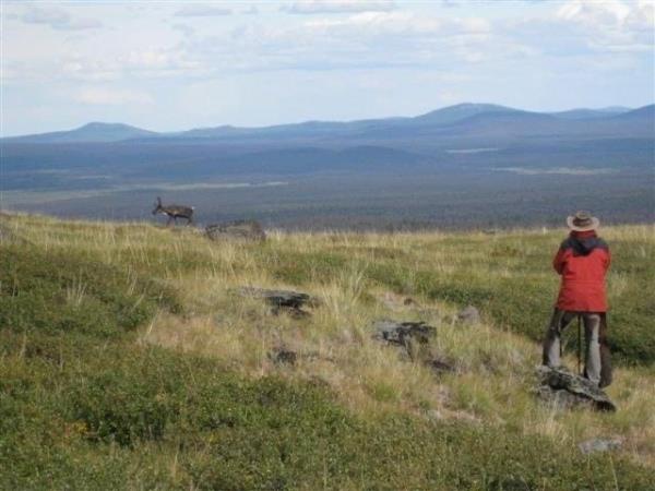 Itcha Ilgachuz Provincial Park