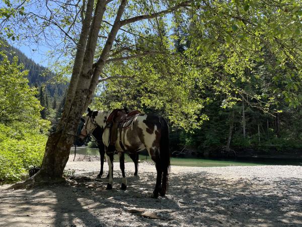 Woodlands Group Camp - Golden Ears Park