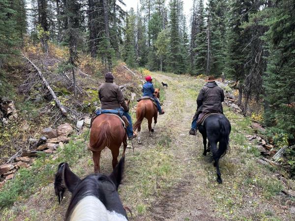 Silver Star Provincial Park