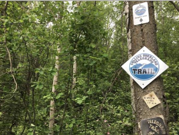 Collins Overland Telegraph Trail