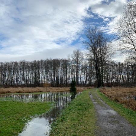 Deas Island Regional Park