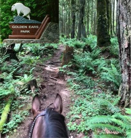 Golden Ears Provincial Park