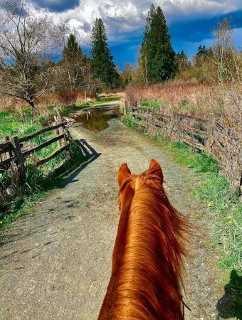 Campbell Valley Regional Park