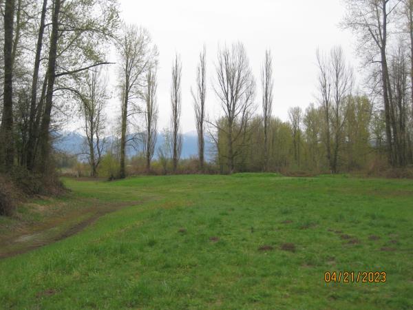 Island 22 Horse Park