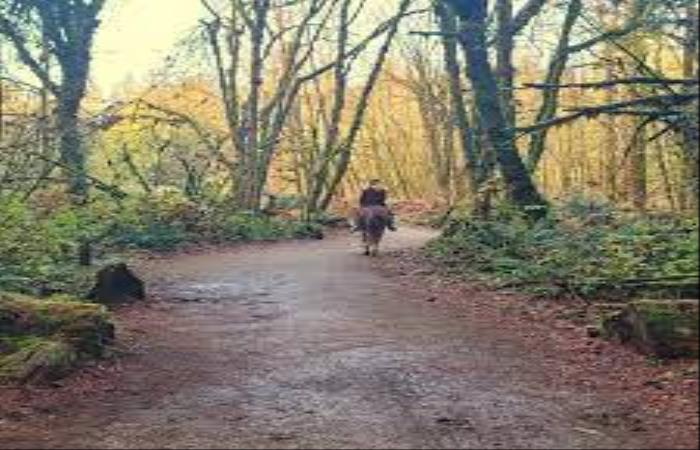 South Langley Regional Park