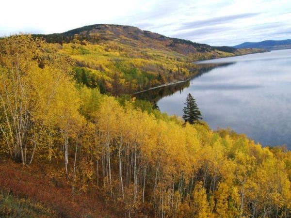 Uncha Mountain Red Hills Provincial Park