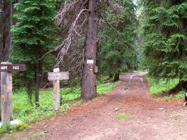 Hope Pass Trail - Manning Park