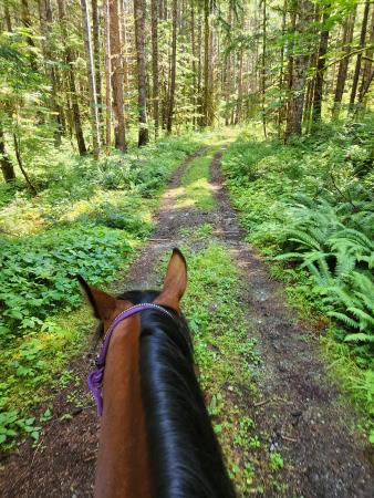 Salmon Brewster Trail Corridor