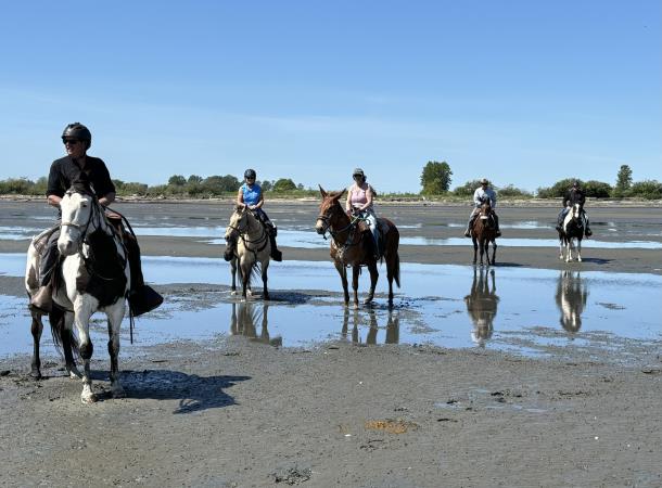 Boundary Bay Regional Park