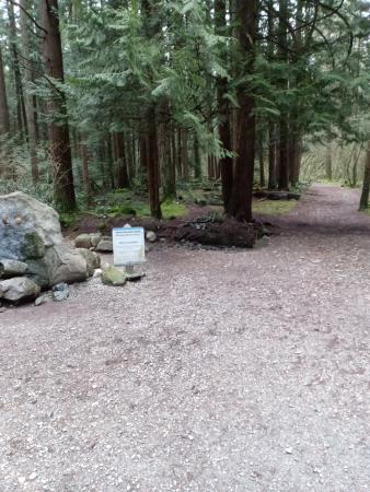 Delta Watershed Park