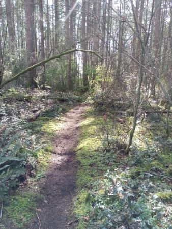 Joe Brown Park