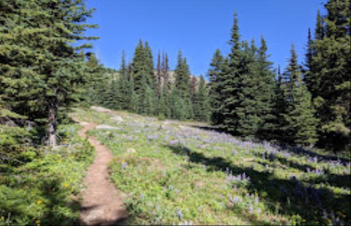 Brent Mountain Protected Area