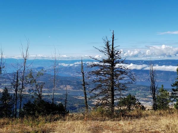 High Rim Trail